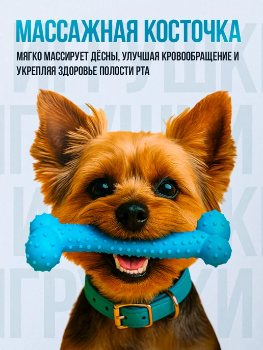Пижон Набор игрушек для собак, 4 в 1, вариант, фото 4