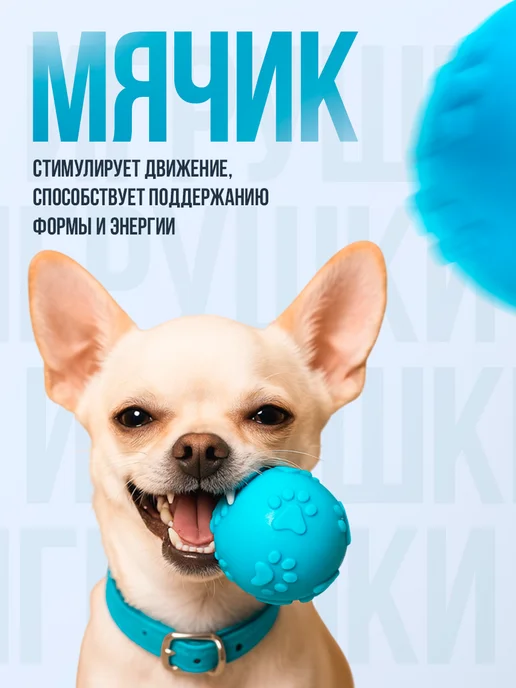 Пижон Набор игрушек для собак, 4 в 1, вариант, фото 5