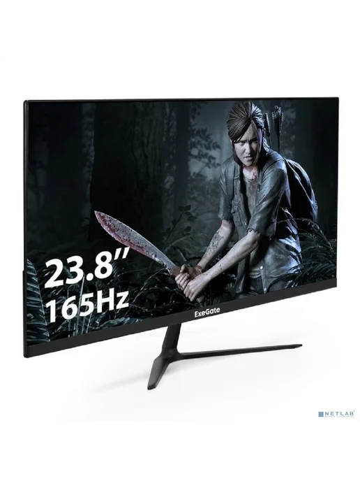 EXEGATE Монитор 23.8" EX295589RUS, вариант