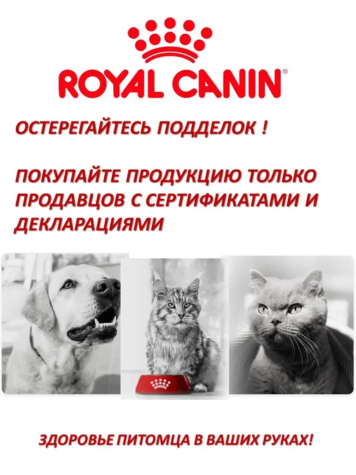 Сухой корм Royal canin Indoor Живущих для собак, взрослые, мелкие, 0,5 кг, фото 4