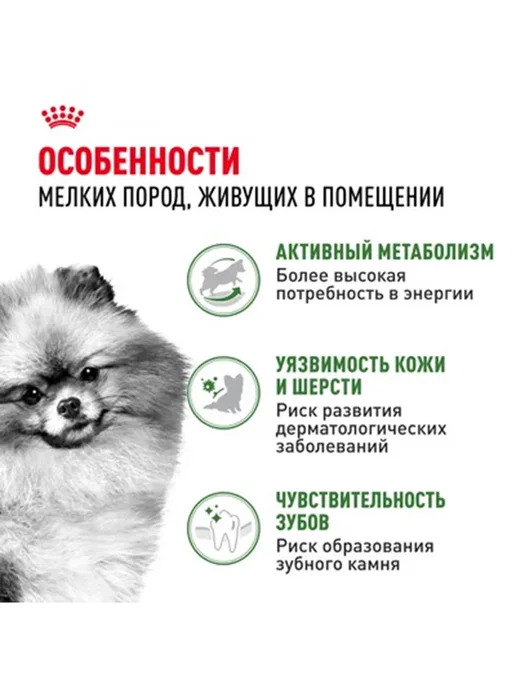 Сухой корм Royal canin Indoor Живущих для собак, взрослые, мелкие, 0,5 кг, фото 5