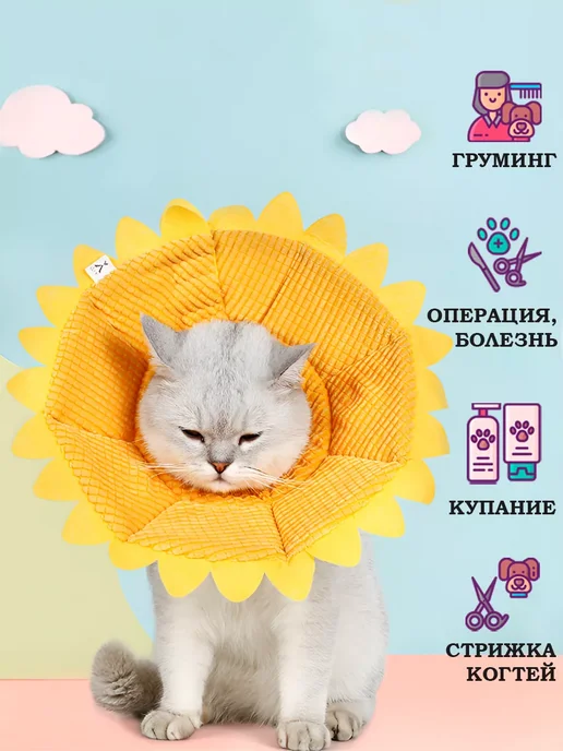 Воротник для кошек и собак ветеринарный "Солнышко", оранжевый, фото 2
