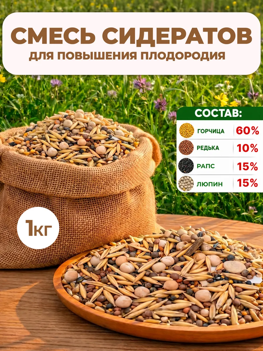 Сидераты для огорода от сорняков