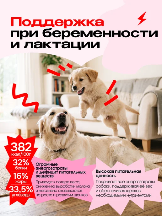 Сухой корм cosmodog для собак, щенки, говядина, 0,8 кг, фото 3