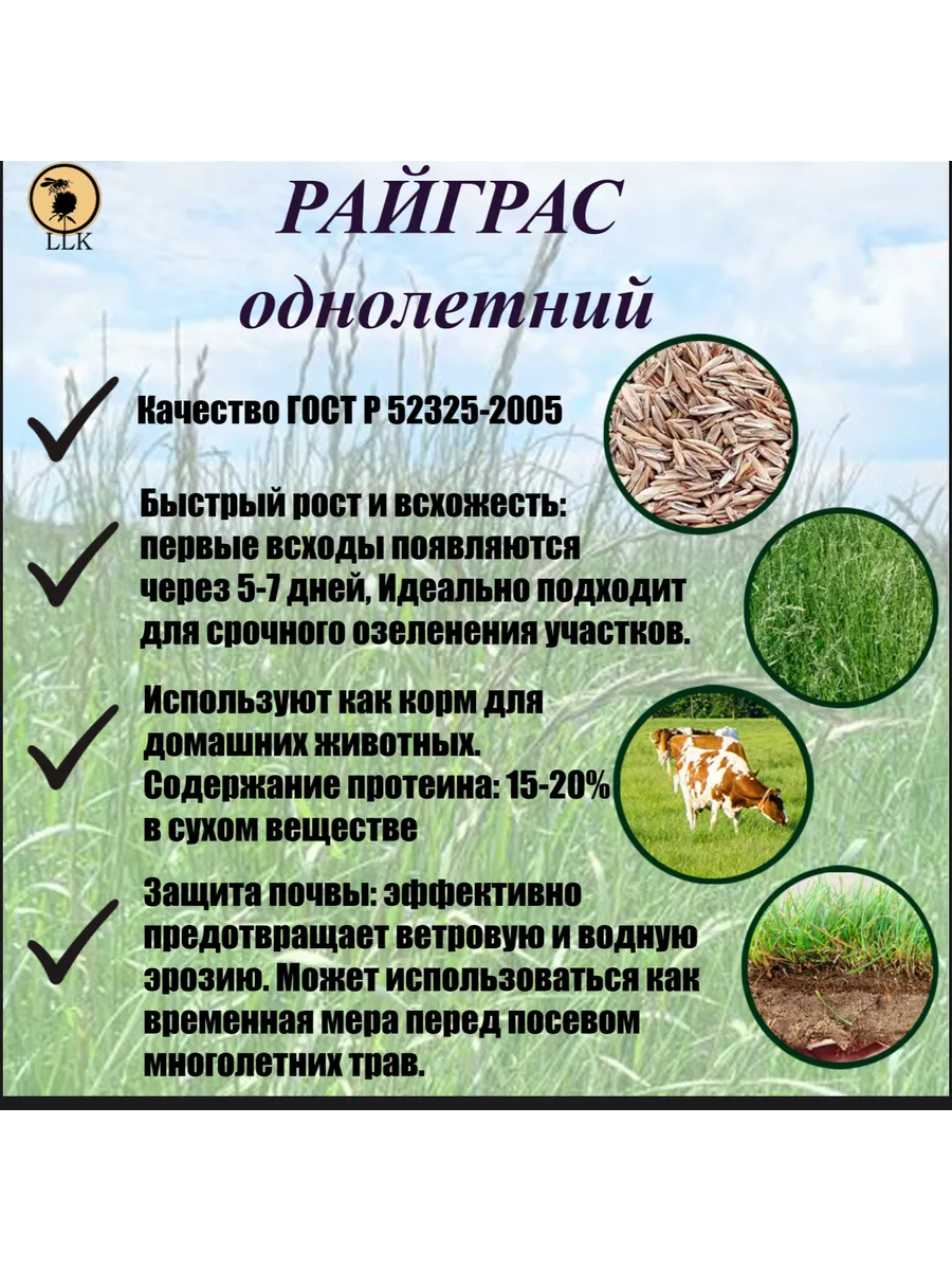 Райграс однолетний 1кг