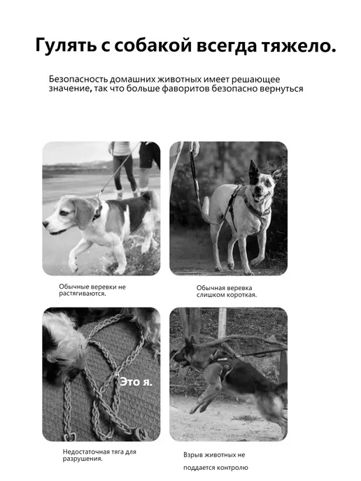 Поводок для собак мелких пород рулетка, мелких пород рулетка, фото 4