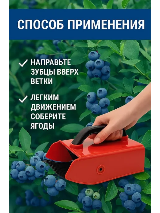 SANDROWB Ягодосборник для сбора ягод черники брусники, черный, фото 2