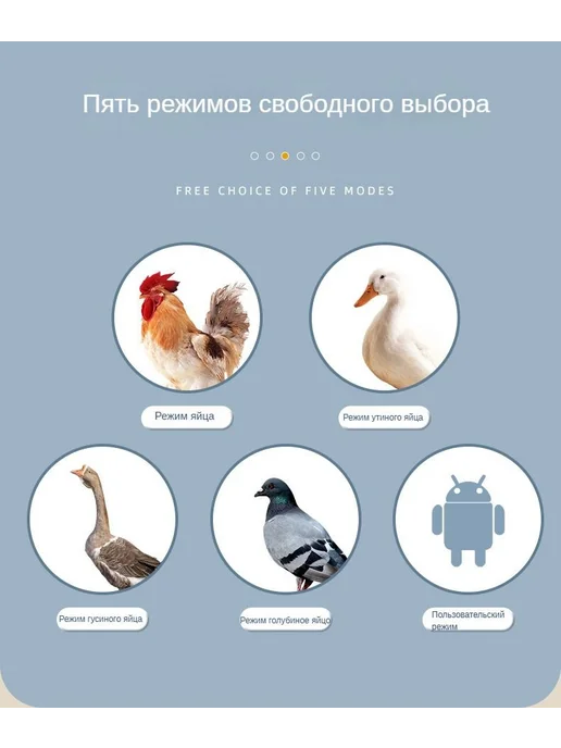 Инкубатор для яиц, вариант, фото 2