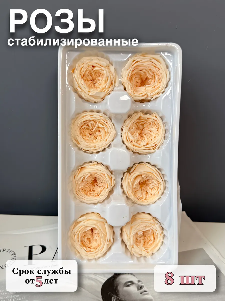 Розы стабилизированные пионовидные