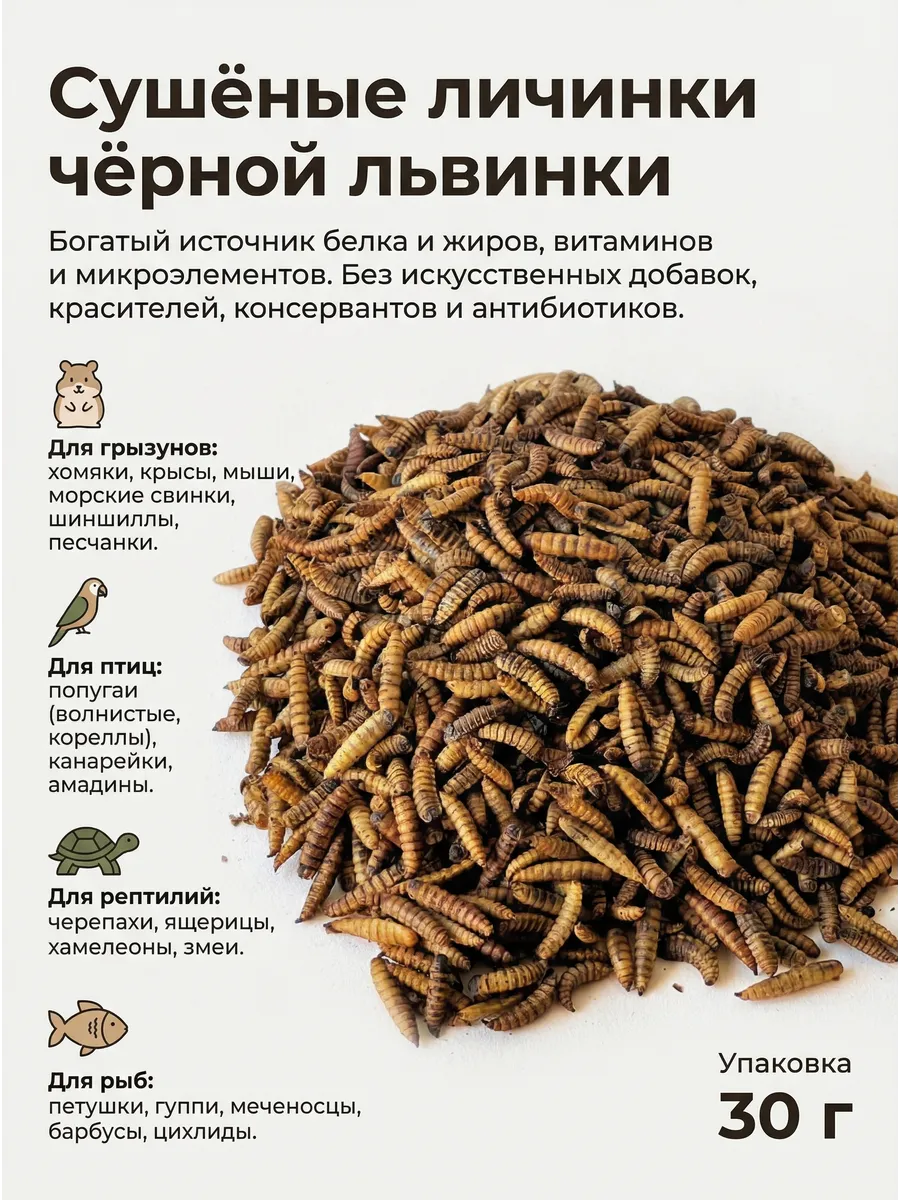Черная львинка сушеная корм птицам, грызунам, рыбам 30г