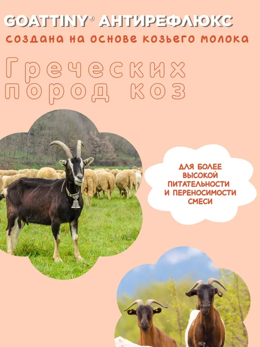 GOATTINY Смесь Антирефлюкс на козьем молоке, 350 гр, 350 г, фото 4