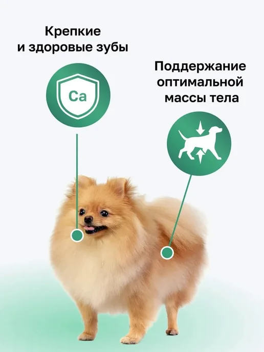 Сухой корм Organix Малых для собак, курица, 0,8 кг, фото 4