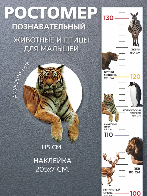 IVJ print Ростомер детский на стену в комнату интерьерная наклейка, 2 м, фото 3