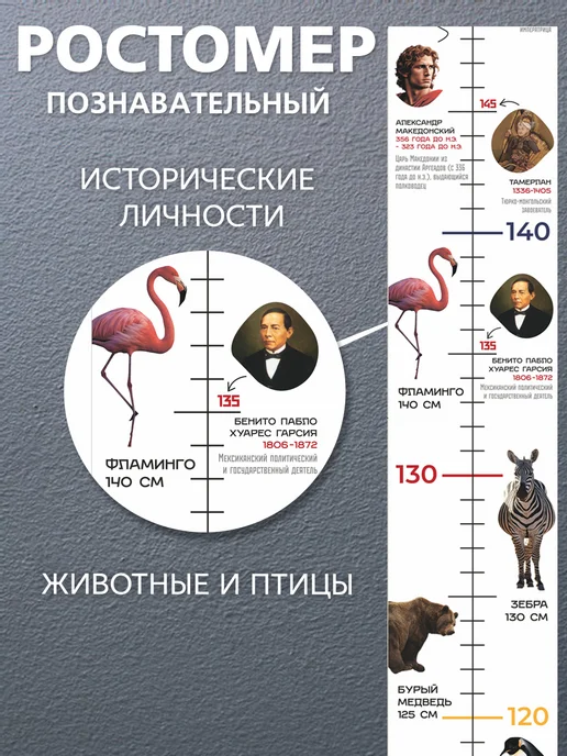 IVJ print Ростомер детский на стену в комнату интерьерная наклейка, 2 м, фото 4
