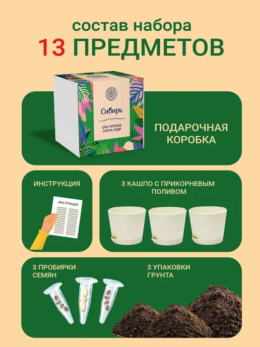 ЭкоКлуб Набор для выращивания бонсай "Ель, Сосна, Кедр", 3 шт, фото 3