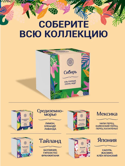 ЭкоКлуб Набор для выращивания бонсай "Ель, Сосна, Кедр", 3 шт, фото 6