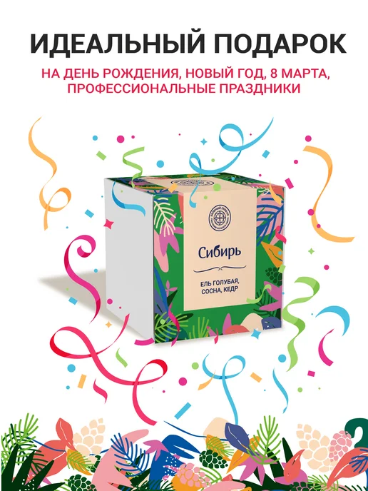 ЭкоКлуб Набор для выращивания бонсай "Ель, Сосна, Кедр", 3 шт, фото 7