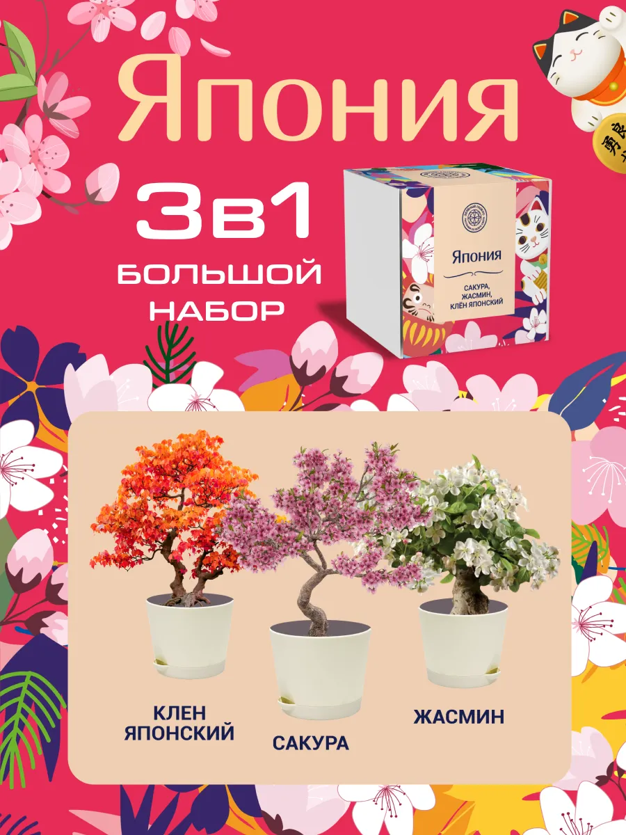 Набор для выращивания бонсай Япония.Сакура, Клен, Жасмин