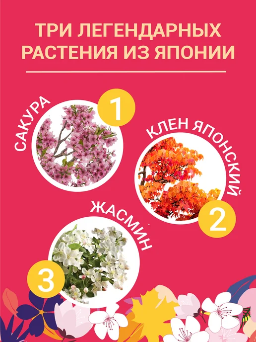 ЭкоКлуб Набор для выращивания бонсай Япония.Сакура, Клен, Жасмин, 3 шт, фото 2