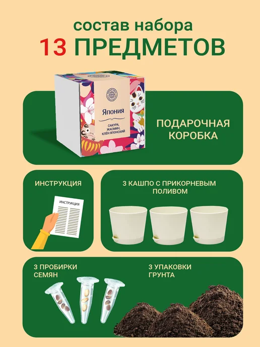ЭкоКлуб Набор для выращивания бонсай Япония.Сакура, Клен, Жасмин, 3 шт, фото 3