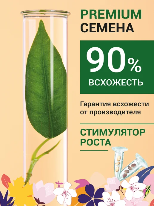 ЭкоКлуб Набор для выращивания бонсай Япония.Сакура, Клен, Жасмин, 3 шт, фото 4