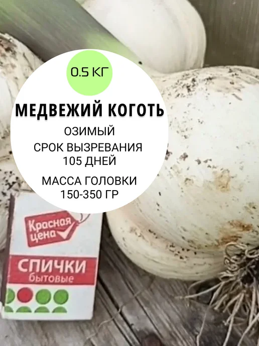 ФЛОРАЛИЯ Чеснок на посадку осенью озимый, Медвежий Коготь 0.5 кг, 500 г
