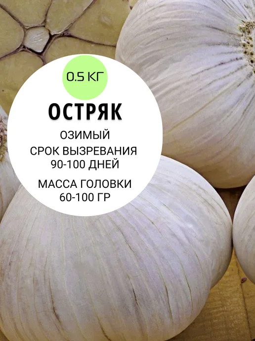 ФЛОРАЛИЯ Чеснок на посадку осенью озимый, Остряк луковицы 0.5 кг, 500 г