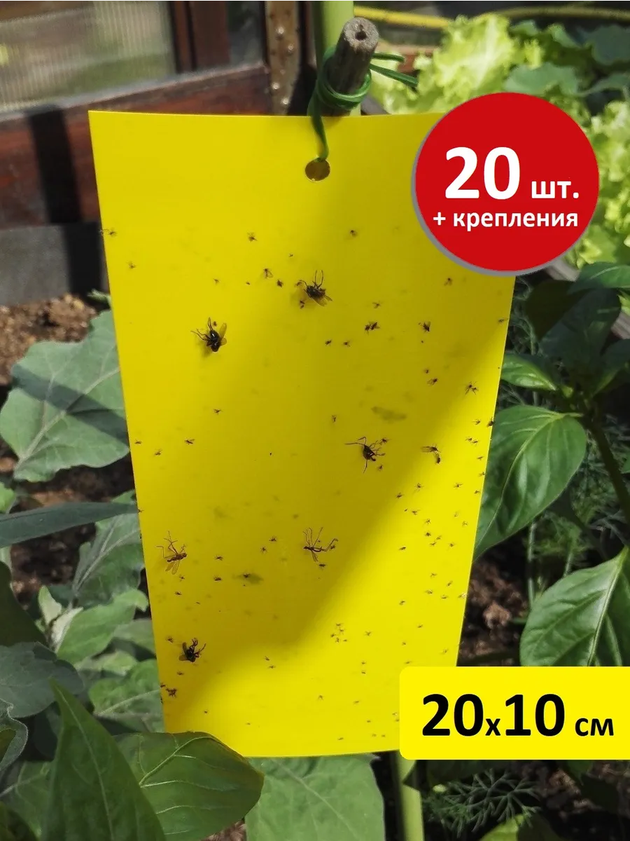 Клеевая ловушка для насекомых белокрылки 20х10см 20 шт.