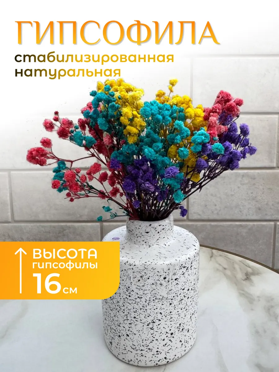 Сухоцветы