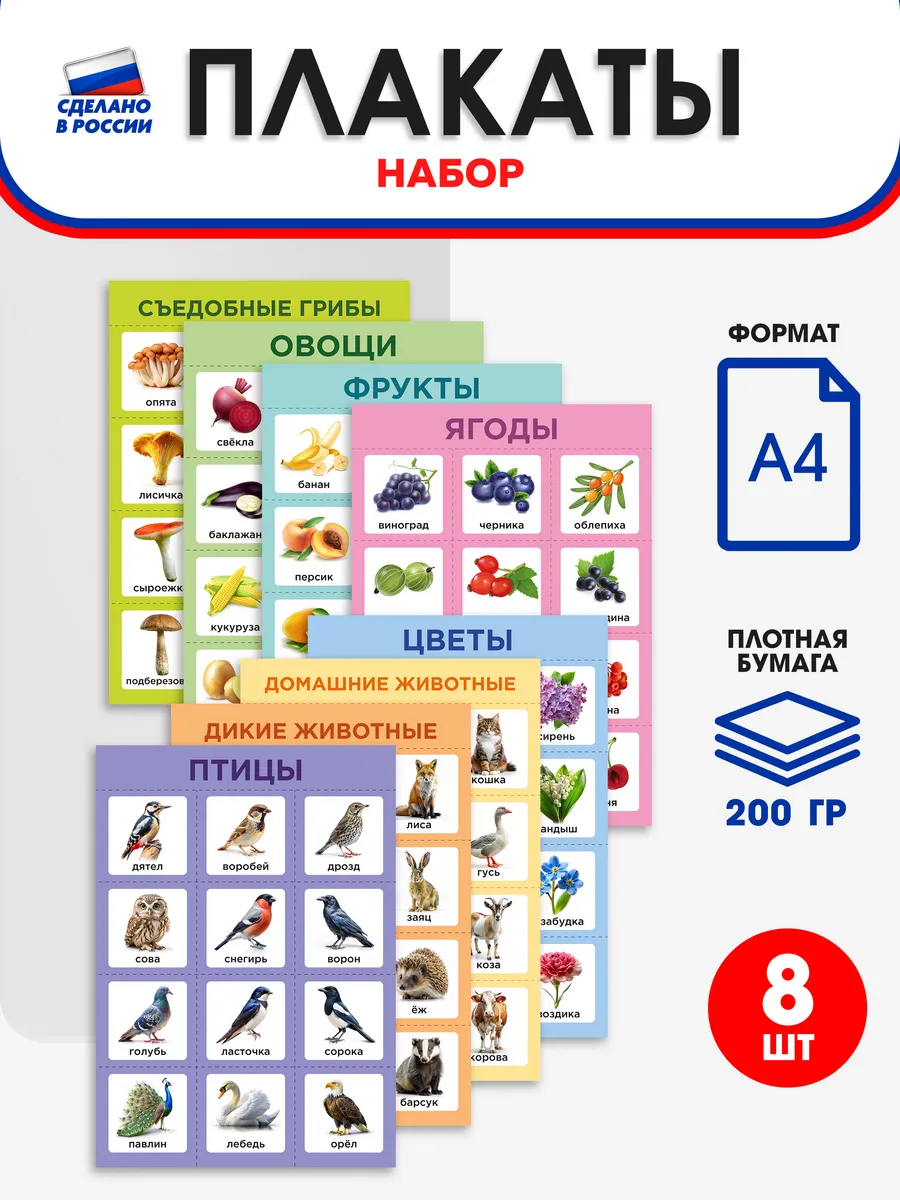 Обучающие плакаты для детей А4 "Окружающий мир"