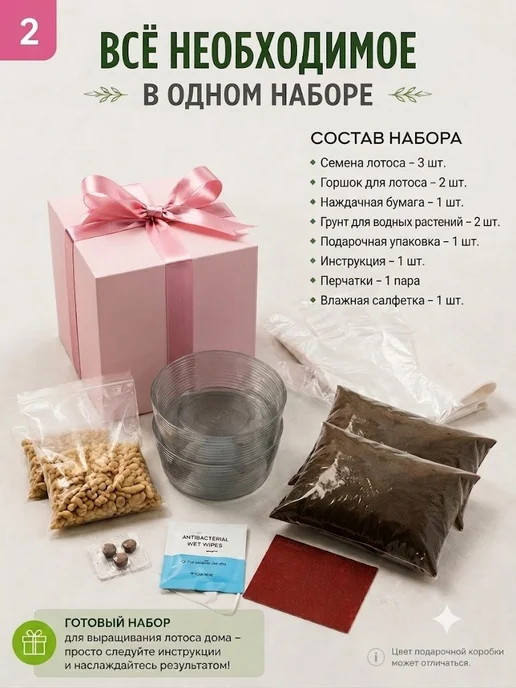 Набор для выращивания растений и цветов лотоса 2 шт, 3 шт, фото 2