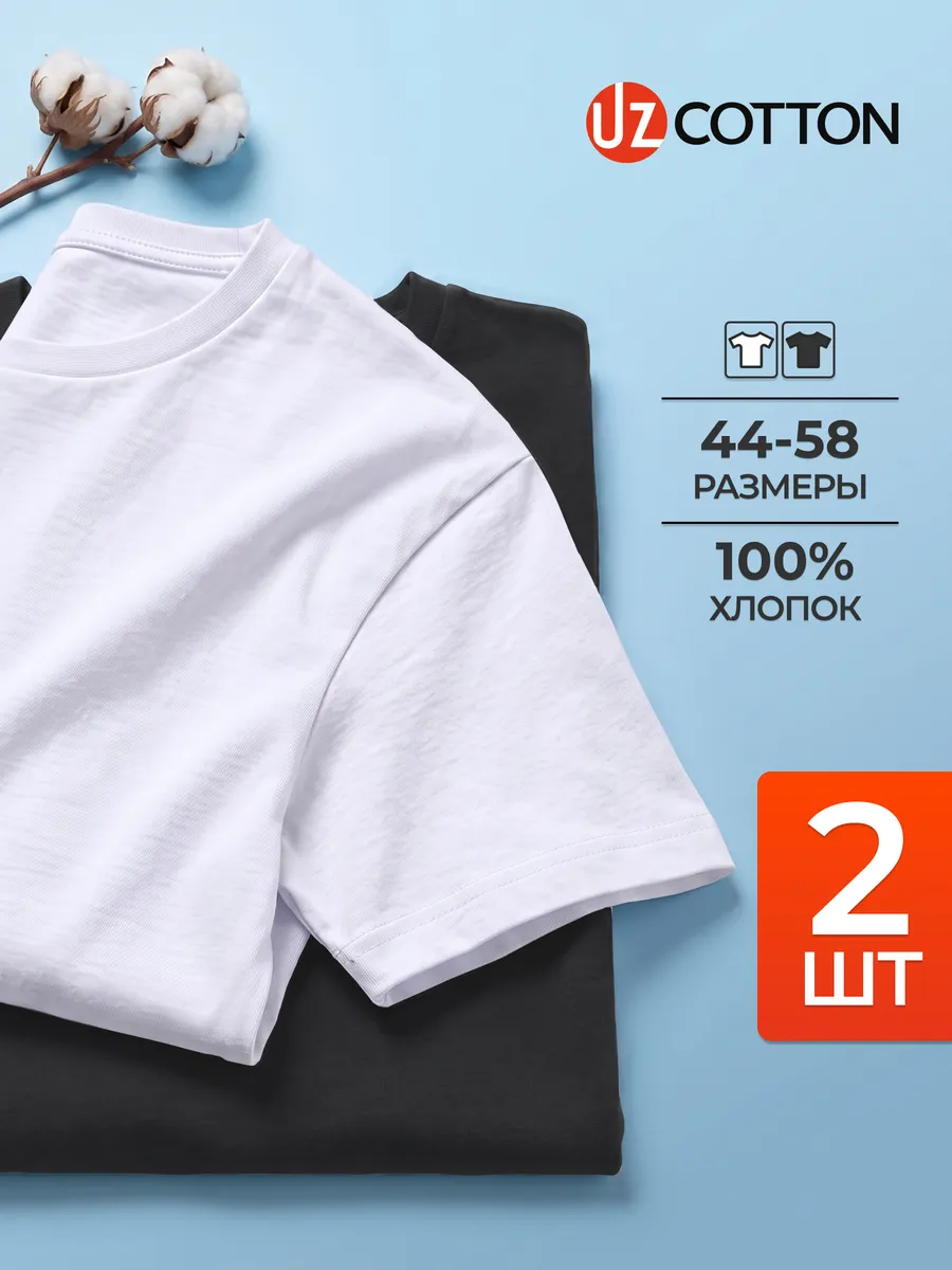 Набор футболок 2 штуки