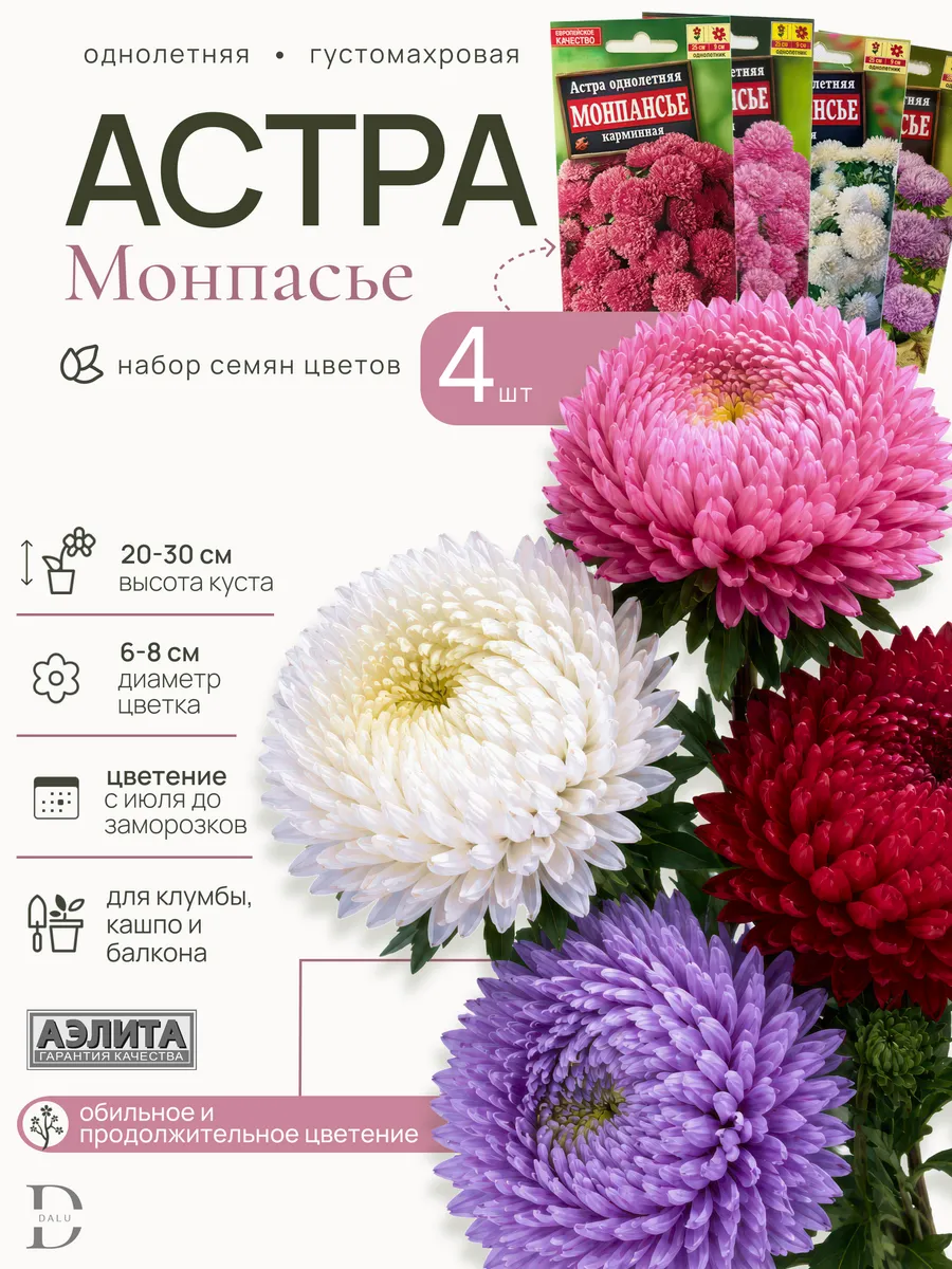 Семена астры монпасье низкорослой