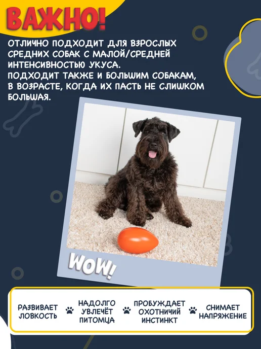 Fancy Pets Игрушка для собак Неуловимое яйцо, оранжевый, фото 3