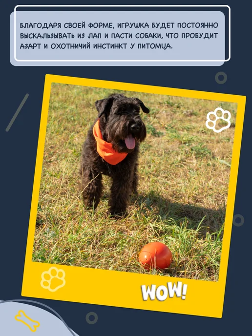 Fancy Pets Игрушка для собак Неуловимое яйцо, оранжевый, фото 5