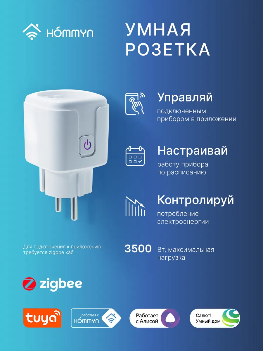 Розетка умная zigbee RKNZ02