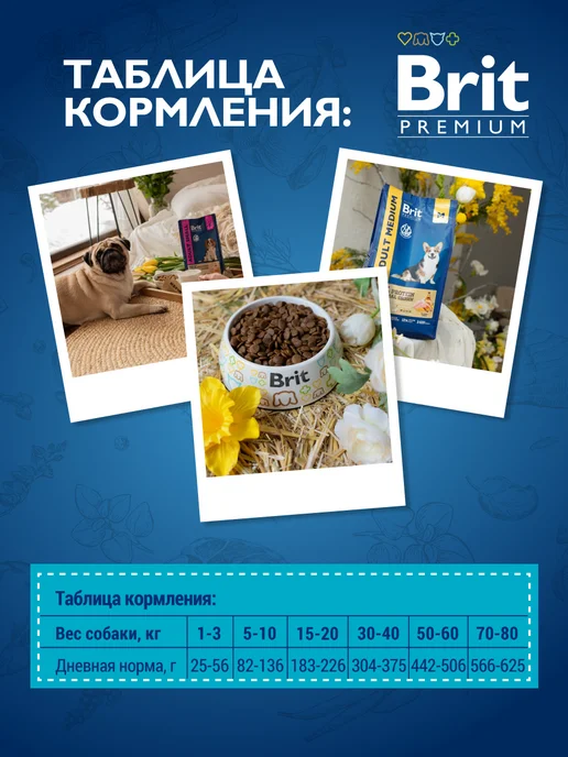 Сухой корм Brit Пищеварения для собак, ягненок, 3 кг, фото 5