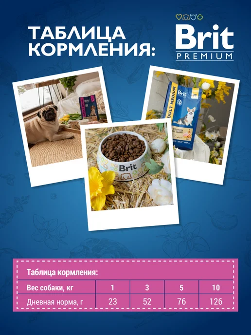Сухой корм Brit для собак, мелкие, курица, 3 кг, фото 5