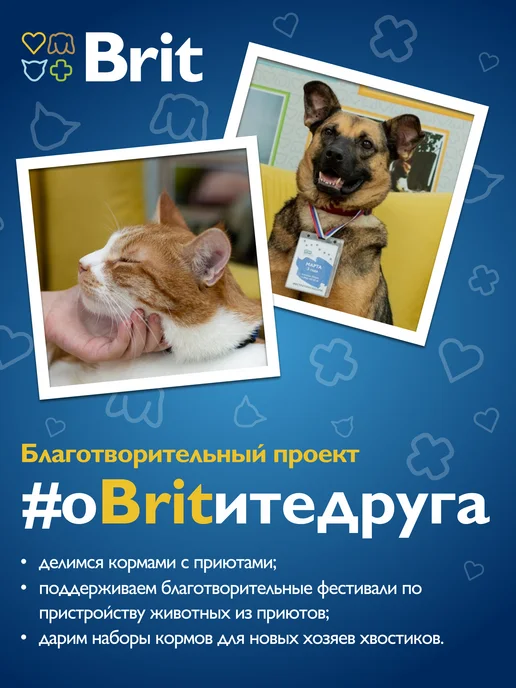 Сухой корм Brit для собак, мелкие, курица, 3 кг, фото 8
