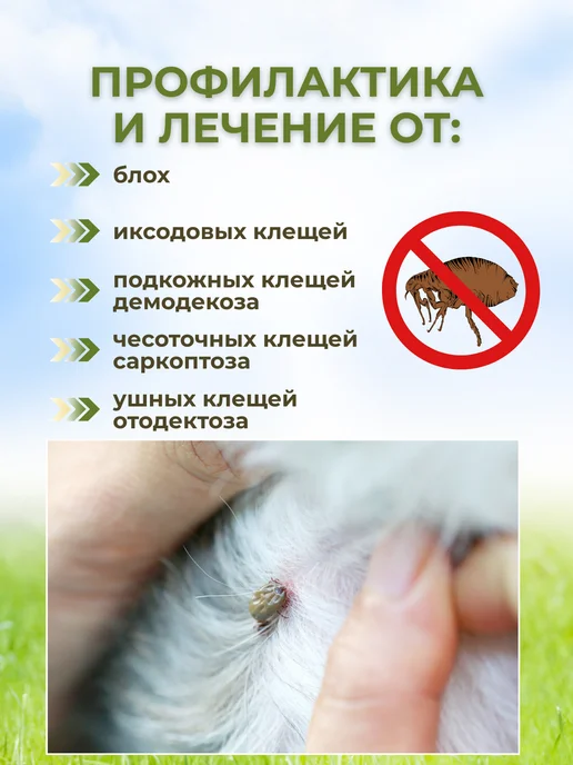 бравекто 112 мг таблетки от клещей для собак 2-4.5, 1 мл, фото 2