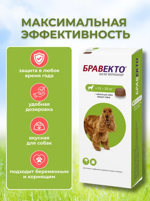 бравекто 1000 мг таблетки от клещей для собак 20-40 кг, 1020 кг, фото 2