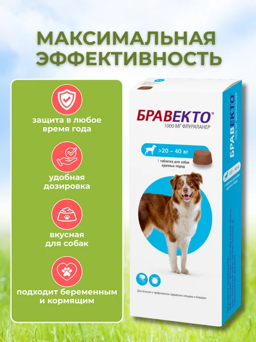бравекто 1000 мг таблетки от клещей для собак 20-40 кг, 2040 кг, фото 2