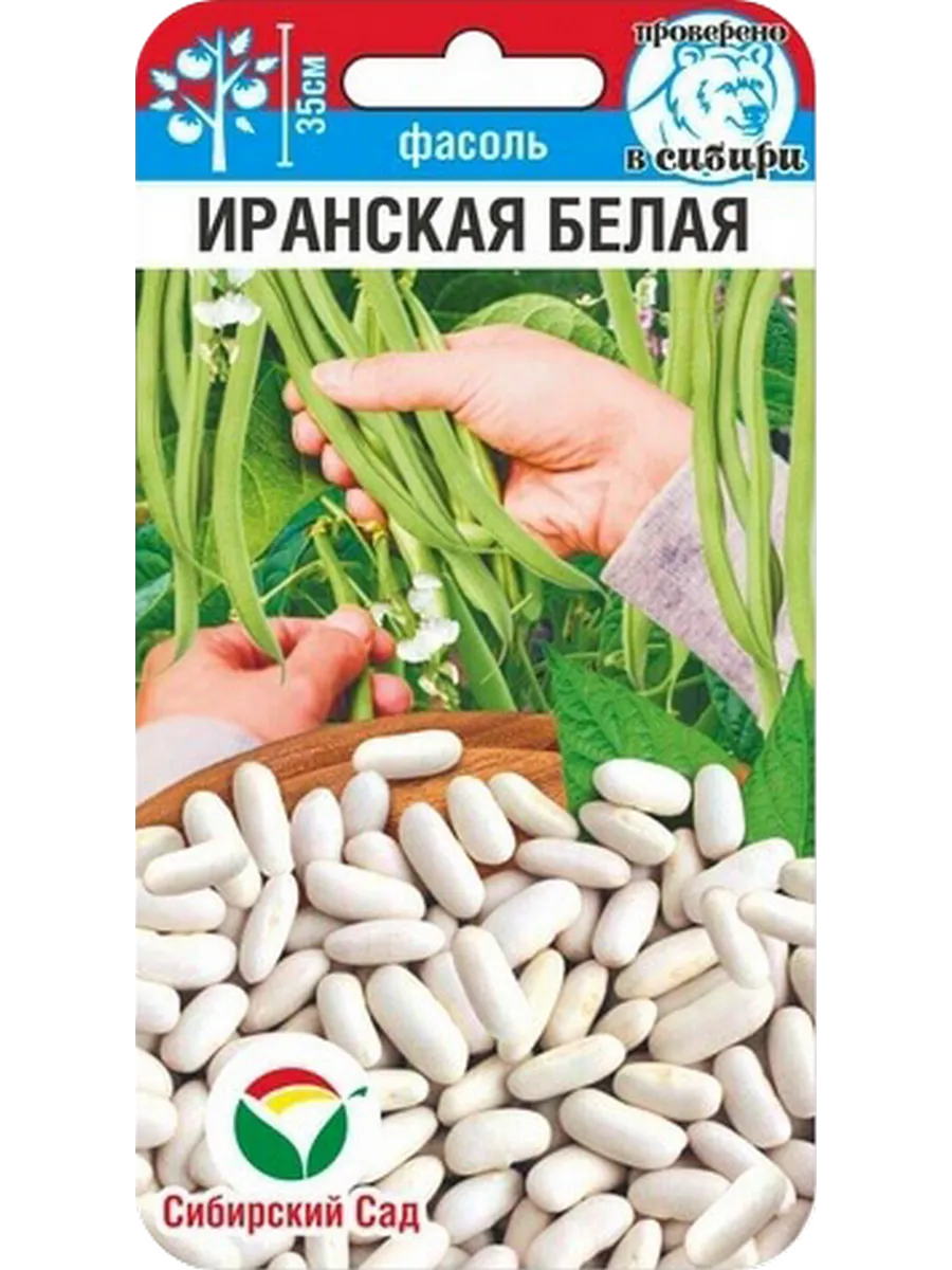Семена Фасоль Иранская белая, 5г