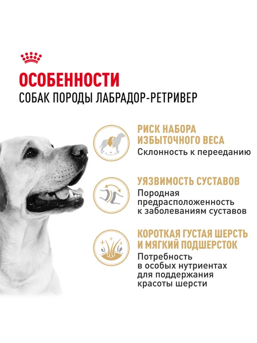 Сухой корм Royal canin Лабрадор Птица для собак, 3 кг, фото 2