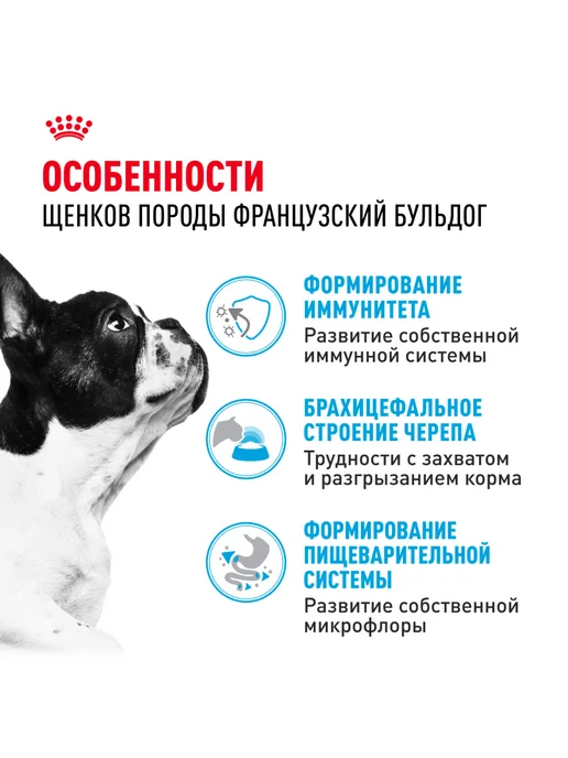 Сухой корм Royal canin Французский Бульдог для собак, щенки, 3 кг, фото 2