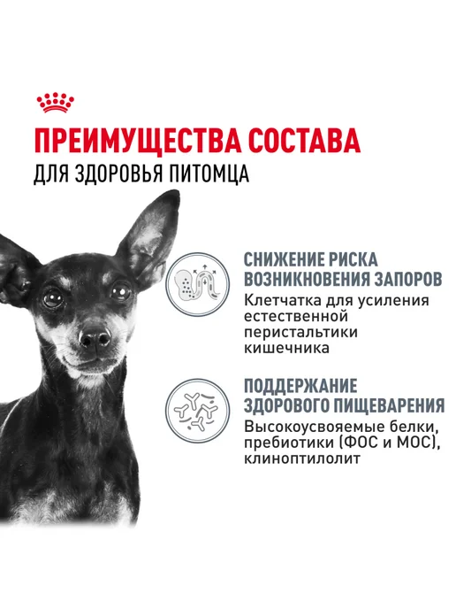 Сухой корм Royal canin Пищеварения для собак, мелкие, 3 кг, фото 3
