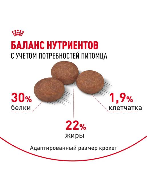 Сухой корм Royal canin Пищеварения для собак, мелкие, 3 кг, фото 4