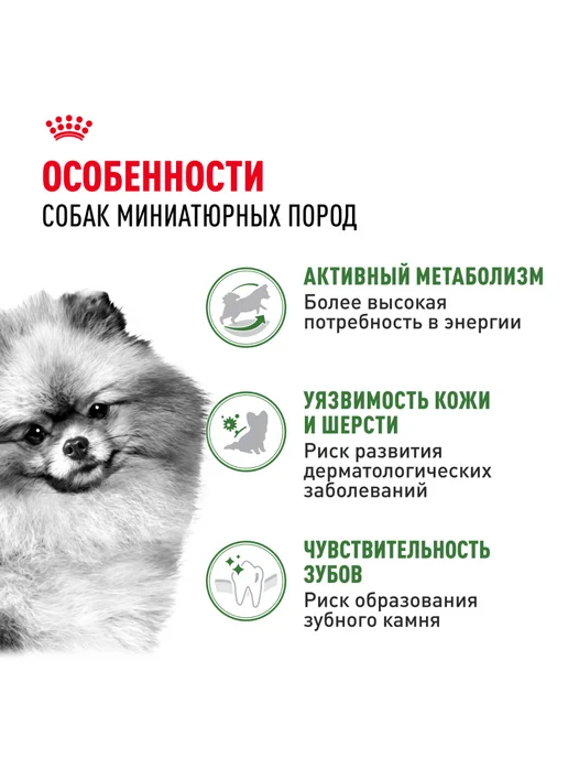 Сухой корм Royal canin Живущих Помещении для собак, мелкие, 3 кг, фото 2