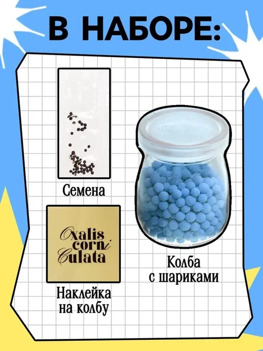 Набор для опытов выращиваем травку Колеус, вариант, фото 2