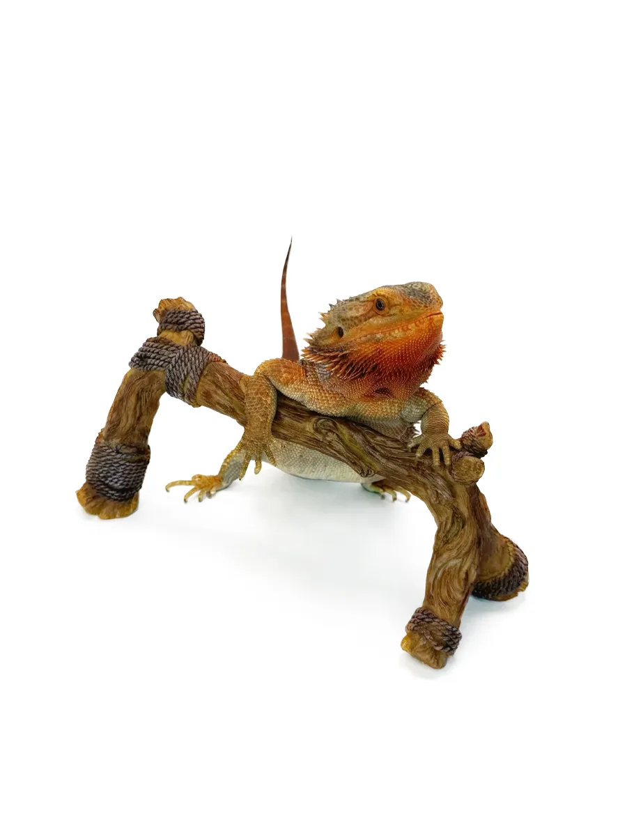 Декоративная коряга из пластика